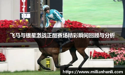 飞马与银星激战正酣赛场精彩瞬间回顾与分析